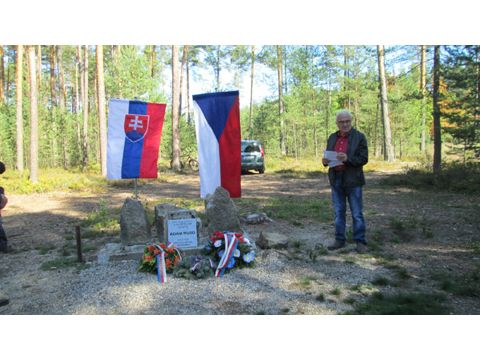 Foto 6